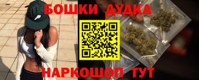 PSILOCYBIN Новокубанск