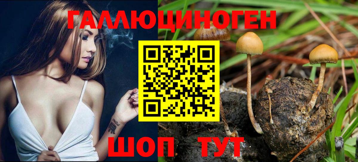 Псилоцибиновые грибы ЛСД  Псилоцибиновые грибы MAGIC MUSHROOMS  Сызрань  Вход с VPN 
