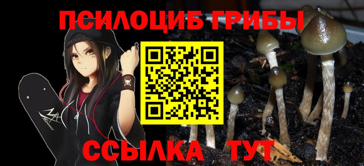 Псилоцибиновые грибы Magic Shrooms Сызрань